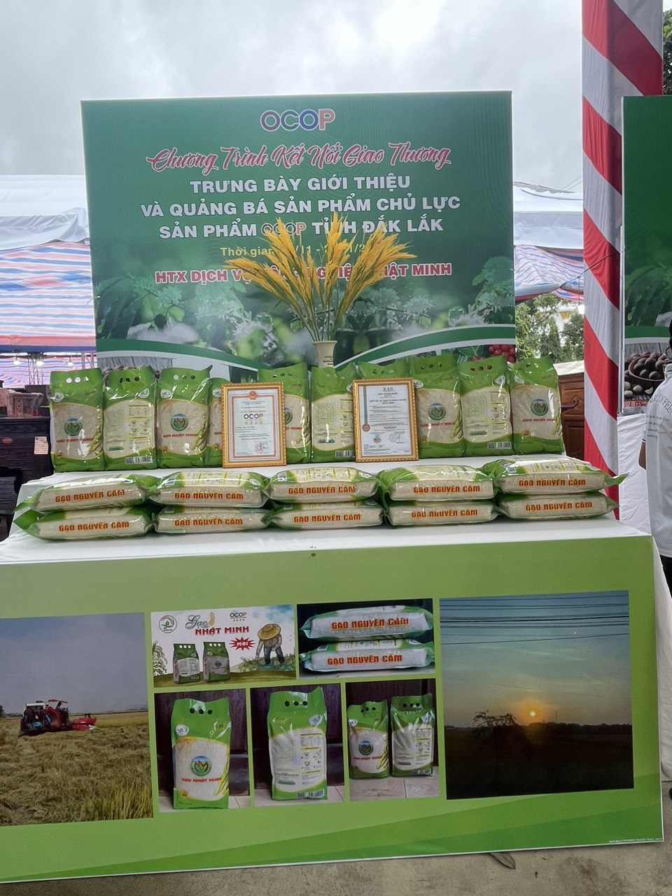 Ảnh sản phẩm